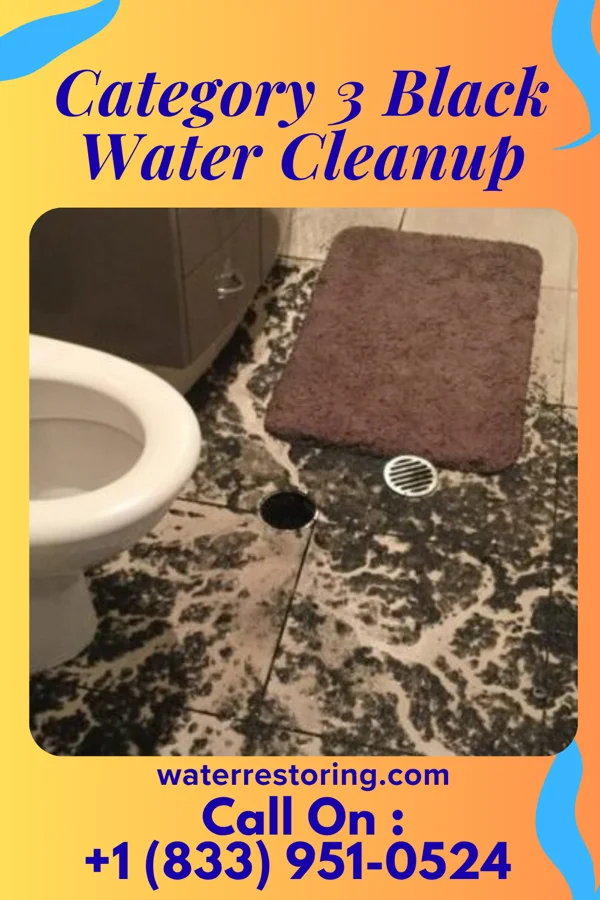 Category 3 Black Water Cleanup in Everman, TX