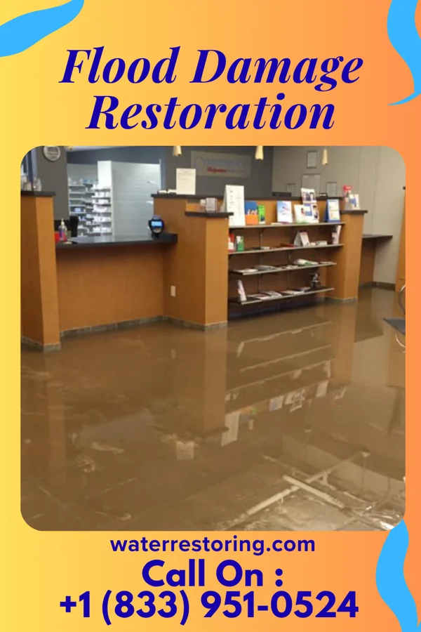 Flood Damage Restoration in Everman, TX