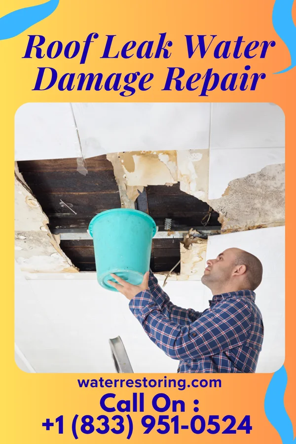 Roof Leak Water Damage Repair in Everman, TX